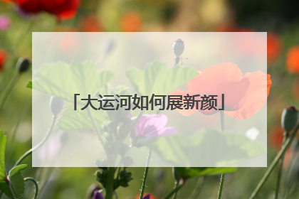 大运河如何展新颜