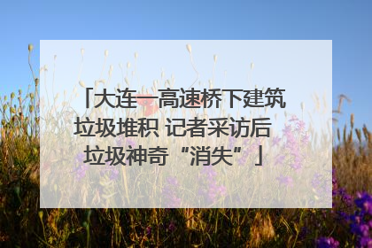 大连一高速桥下建筑垃圾堆积 记者采访后垃圾神奇“消失”