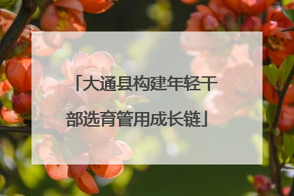 大通县构建年轻干部选育管用成长链