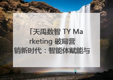 天禹数智 TY Marketing 破局营销新时代：智能体赋能与人才培育双轮驱动