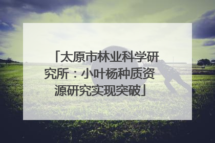 太原市林业科学研究所：小叶杨种质资源研究实现突破