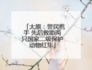 太原：警民携手 先后救助两只国家二级保护动物红隼