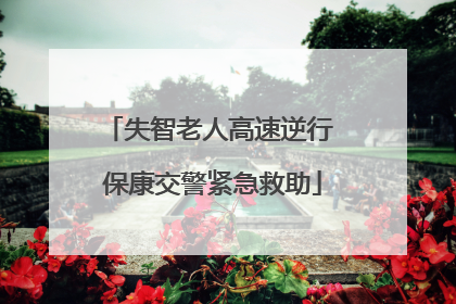 失智老人高速逆行 保康交警紧急救助