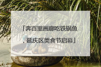 奔百里画廊吃铁锅鱼，延庆区美食节启幕