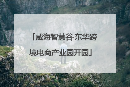 威海智慧谷·东华跨境电商产业园开园