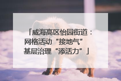 威海高区怡园街道：网格活动“接地气” 基层治理“添活力”