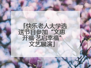 快乐老人大学选送节目参加“文惠开福·艺启幸福”文艺展演