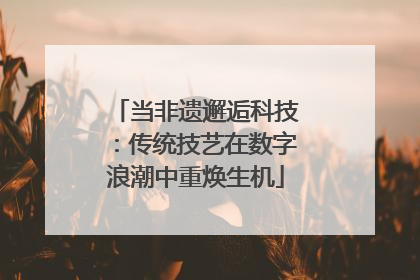当非遗邂逅科技：传统技艺在数字浪潮中重焕生机
