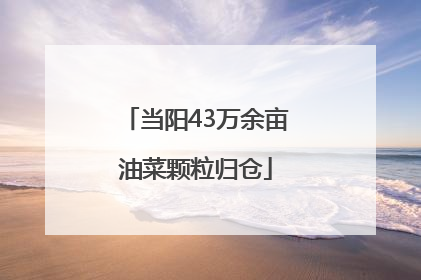 当阳43万余亩油菜颗粒归仓