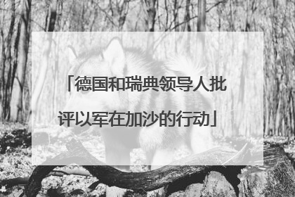 德国和瑞典领导人批评以军在加沙的行动