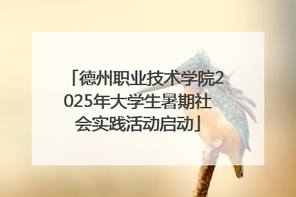 德州职业技术学院2025年大学生暑期社会实践活动启动