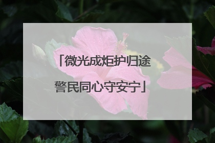 微光成炬护归途 警民同心守安宁