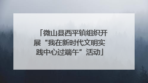 微山县西平镇组织开展“我在新时代文明实践中心过端午”活动