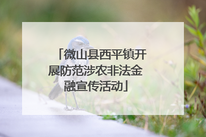 微山县西平镇开展防范涉农非法金融宣传活动