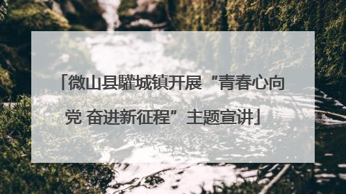 微山县驩城镇开展“青春心向党 奋进新征程”主题宣讲