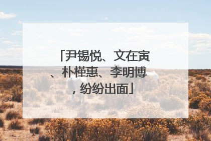 尹锡悦、文在寅、朴槿惠、李明博，纷纷出面