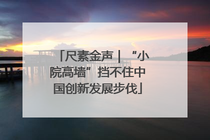 尺素金声｜“小院高墙”挡不住中国创新发展步伐