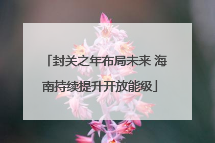 封关之年布局未来 海南持续提升开放能级