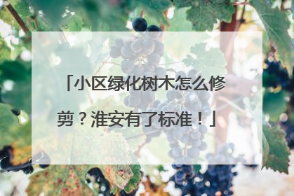 小区绿化树木怎么修剪？淮安有了标准！