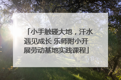 小手触碰大地，汗水遇见成长 乐师附小开展劳动基地实践课程