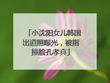 小沈阳女儿韩国出道照曝光，被指撞脸孔孝真