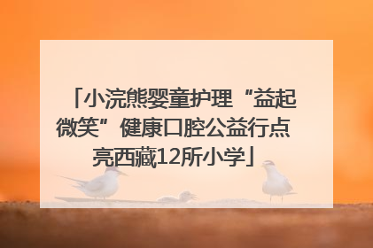 小浣熊婴童护理“益起微笑”健康口腔公益行点亮西藏12所小学