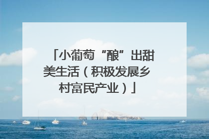 小葡萄“酿”出甜美生活（积极发展乡村富民产业）