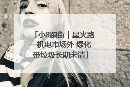 小8跑街｜星火路一机电市场外 绿化带垃圾长期未清