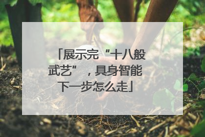 展示完“十八般武艺”，具身智能下一步怎么走