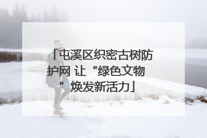 屯溪区织密古树防护网 让“绿色文物”焕发新活力