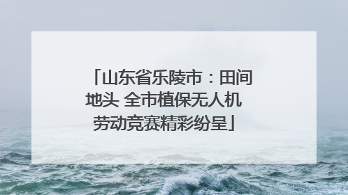 山东省乐陵市：田间地头 全市植保无人机劳动竞赛精彩纷呈