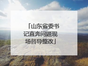 山东省委书记直奔问题现场督导整改