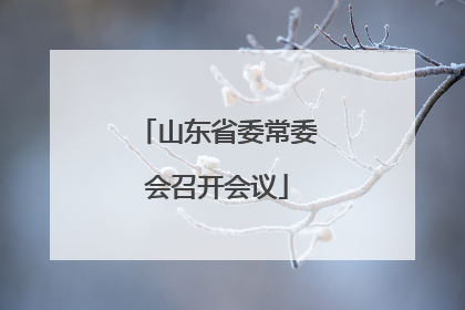 山东省委常委会召开会议