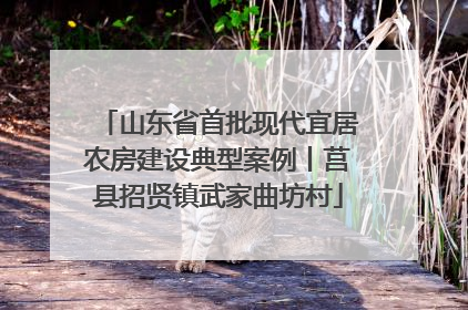 山东省首批现代宜居农房建设典型案例丨莒县招贤镇武家曲坊村