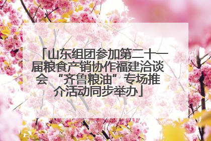 山东组团参加第二十一届粮食产销协作福建洽谈会 “齐鲁粮油”专场推介活动同步举办