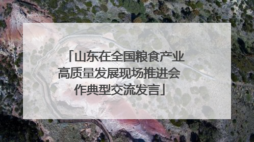 山东在全国粮食产业高质量发展现场推进会作典型交流发言