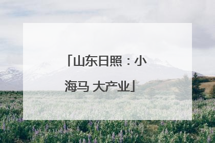山东日照：小海马 大产业