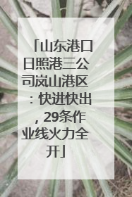 山东港口日照港三公司岚山港区：快进快出，29条作业线火力全开