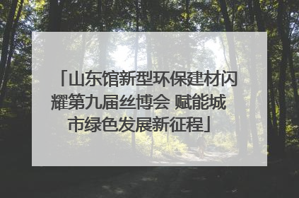 山东馆新型环保建材闪耀第九届丝博会 赋能城市绿色发展新征程