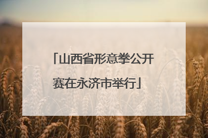 山西省形意拳公开赛在永济市举行