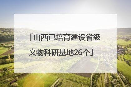 山西已培育建设省级文物科研基地26个