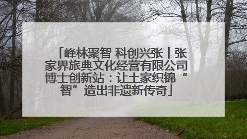 峰林聚智 科创兴张丨张家界旅典文化经营有限公司博士创新站：让土家织锦“智”造出非遗新传奇
