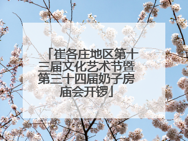 崔各庄地区第十三届文化艺术节暨第三十四届奶子房庙会开锣