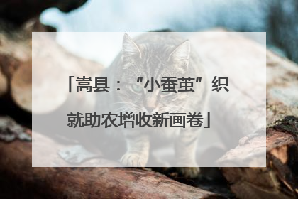 嵩县：“小蚕茧”织就助农增收新画卷