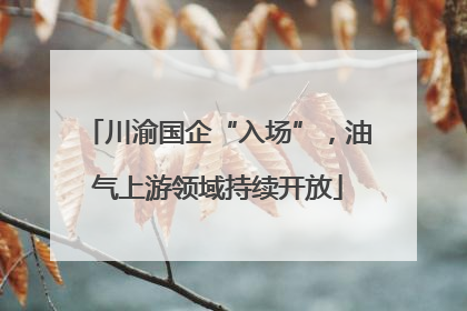 川渝国企“入场”，油气上游领域持续开放