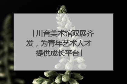 川音美术馆双展齐发，为青年艺术人才提供成长平台