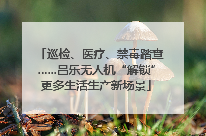 巡检、医疗、禁毒踏查……昌乐无人机“解锁”更多生活生产新场景