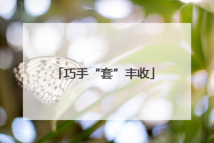 巧手“套”丰收