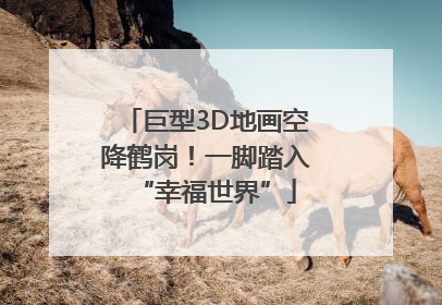 巨型3D地画空降鹤岗！一脚踏入“幸福世界”