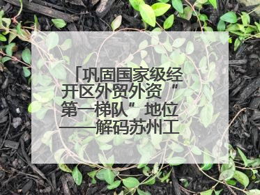巩固国家级经开区外贸外资“第一梯队”地位——解码苏州工业园区样本
